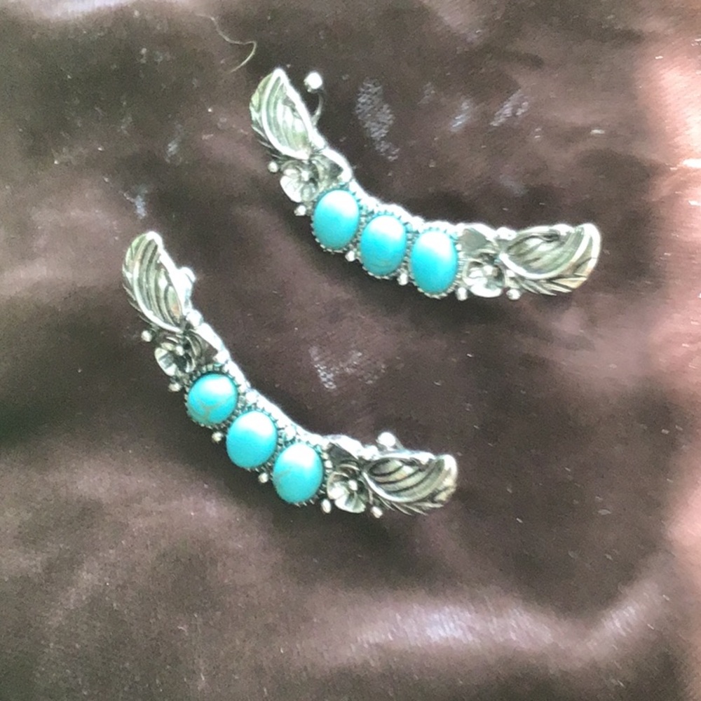 Elegant Silver and Turquoise Earrings
Buggies.  $15 my last offer!